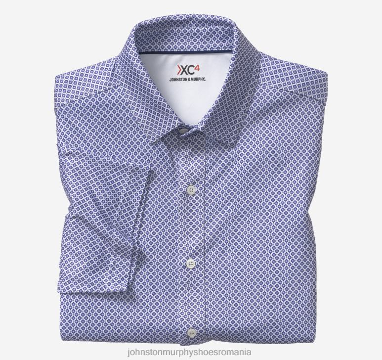 pictură violetă