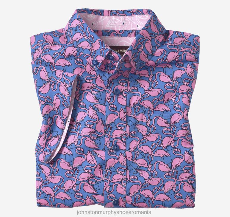 flamingo albastru